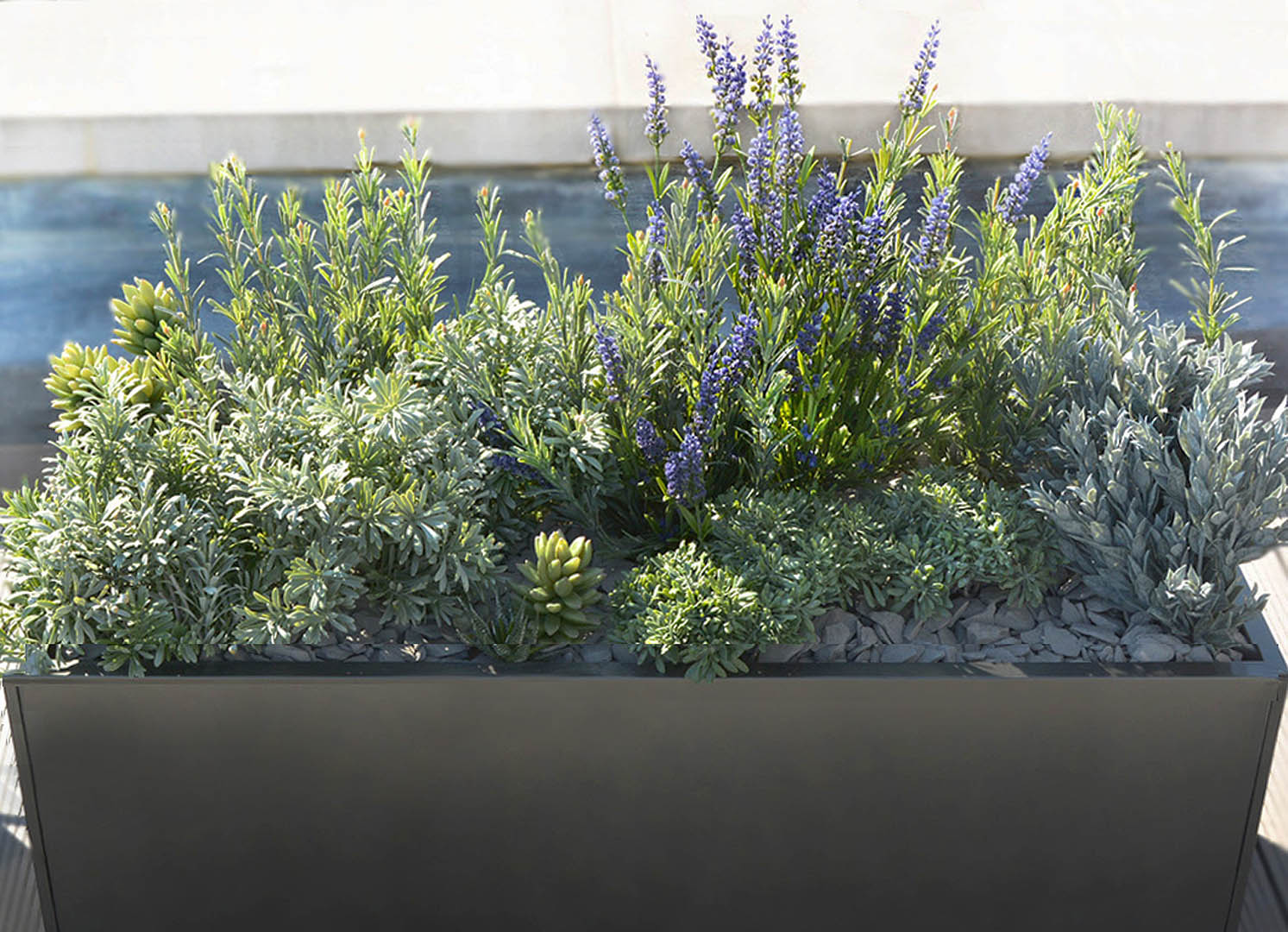 487 fake landscapes mixed modern deep window box