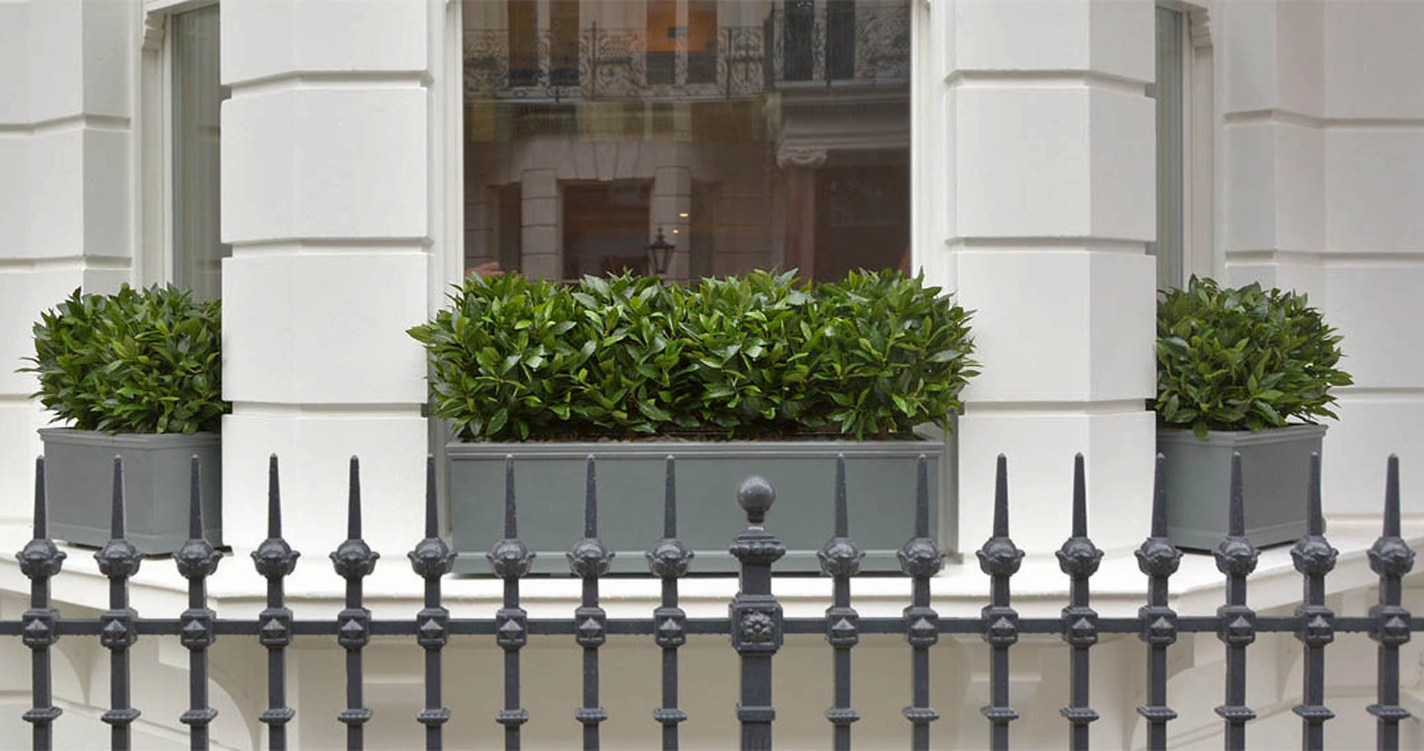 488 fake landscapes soft bay hedges in clients window boxes