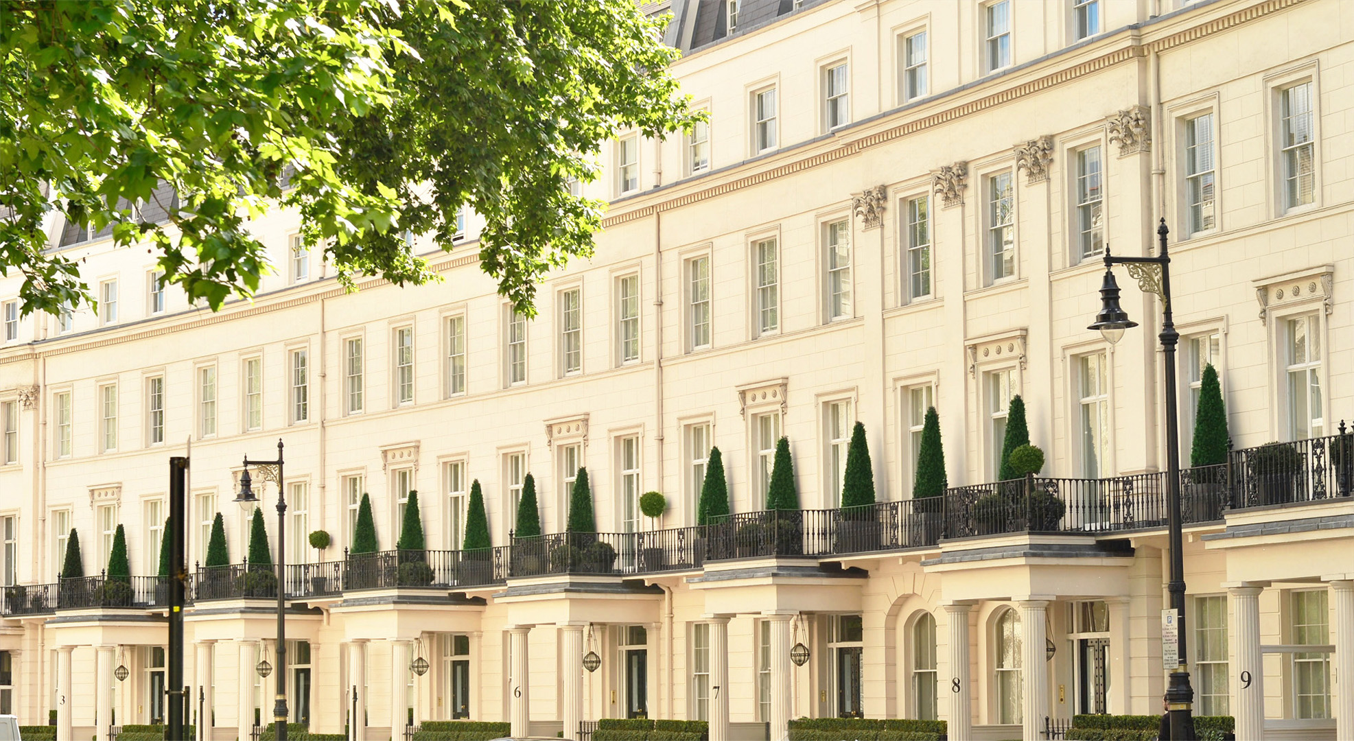 453 fake landscapes Grosvenor Crescent London cypress trees