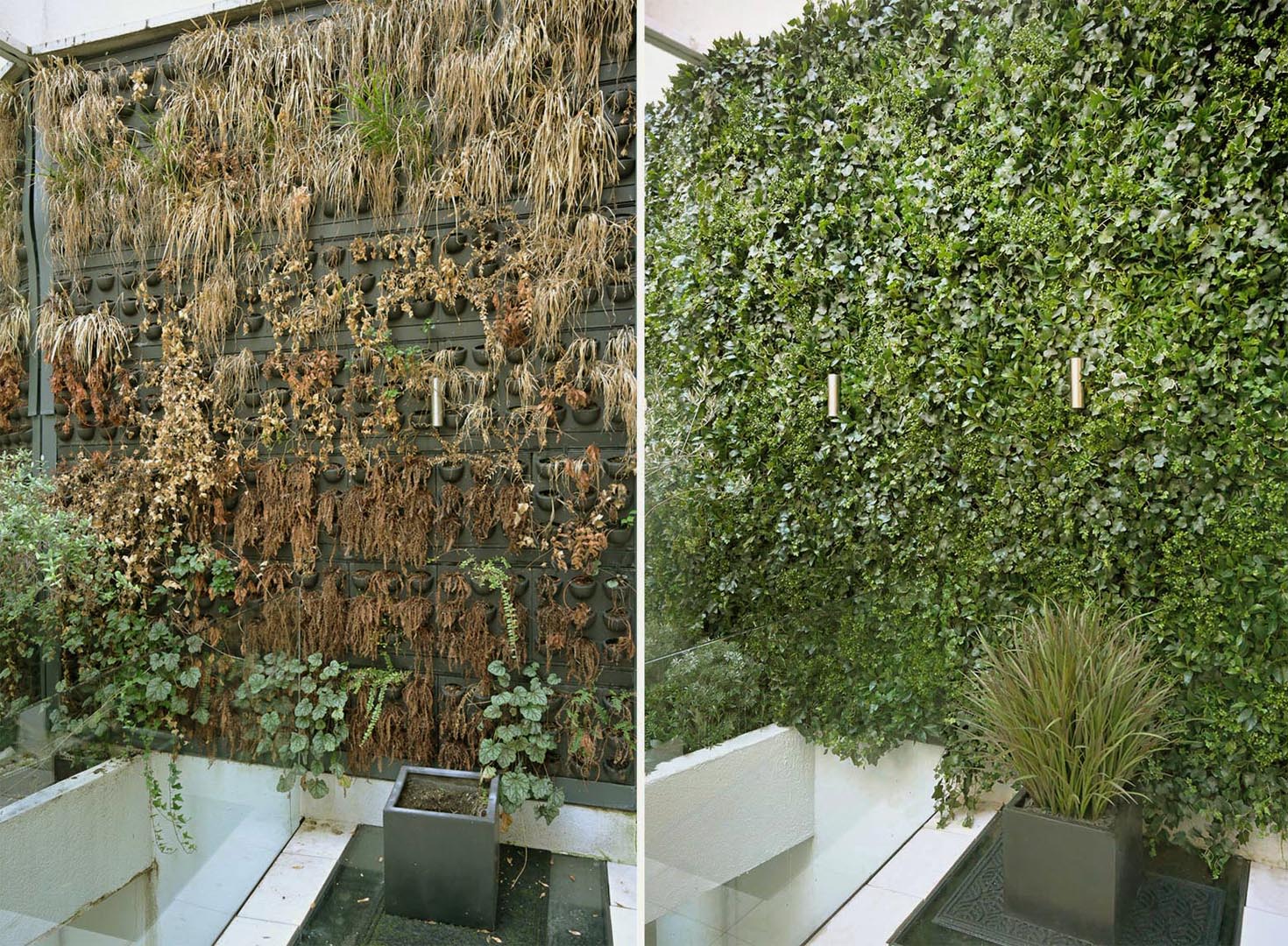 512 fake landscapes classic living wall clareville SW7 before and after 512