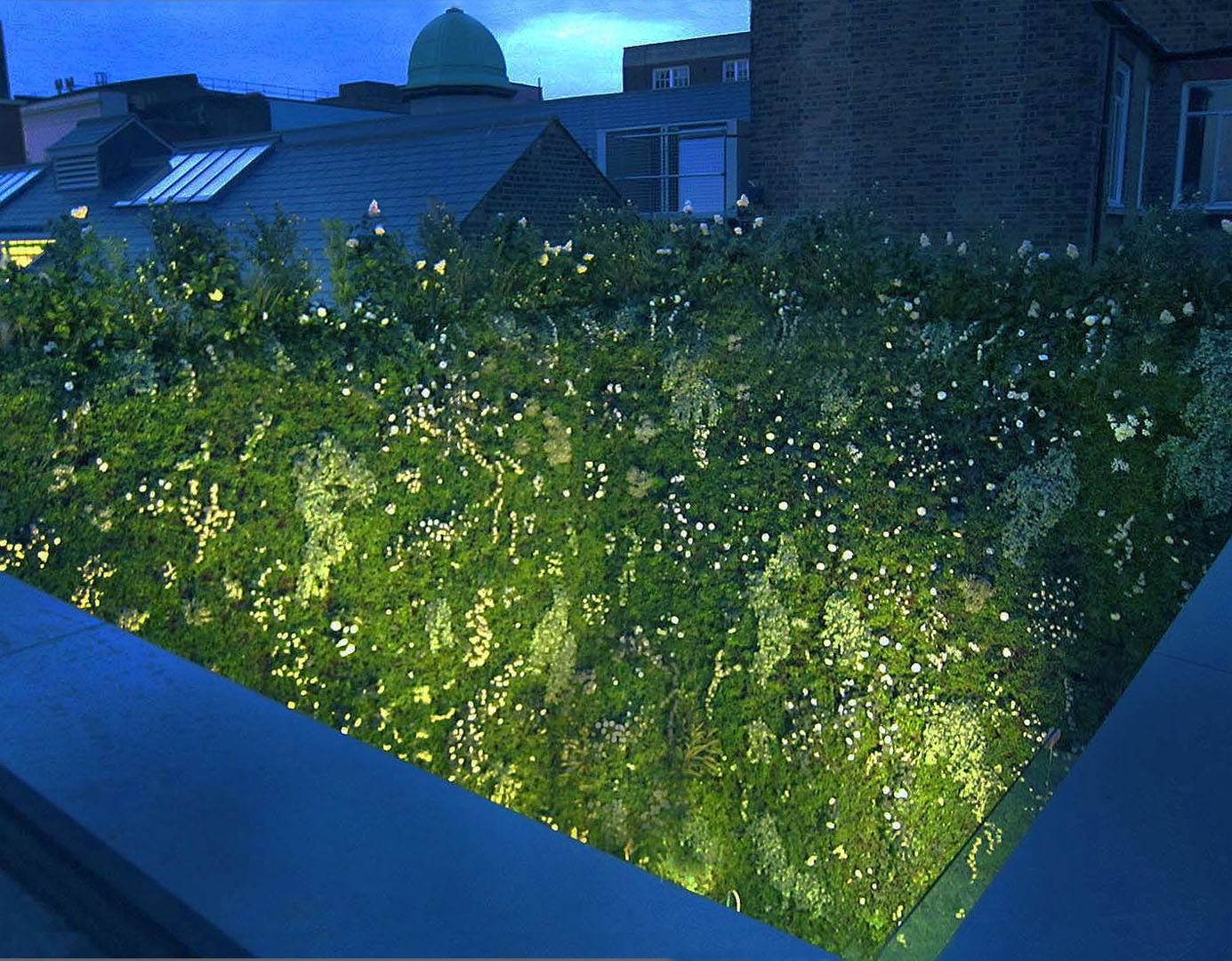 516 fake Landscapes hybrid Living Wall night SW3 516
