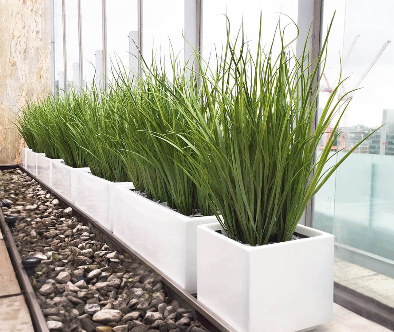 543 fake landscapes 500mm Marram grass in clients planters WC1