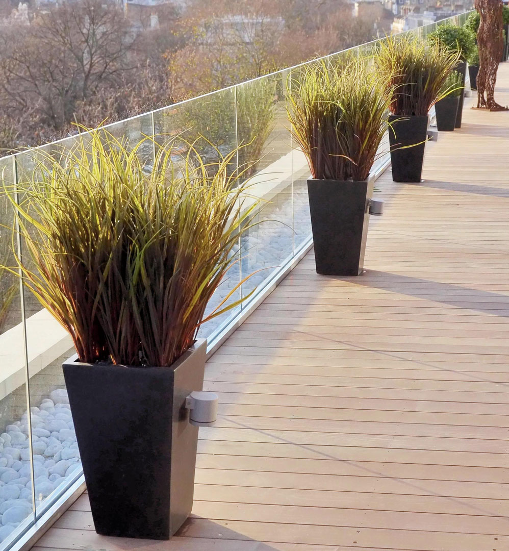 546 Fake landscapes UV russet marram grass in 60cm planters