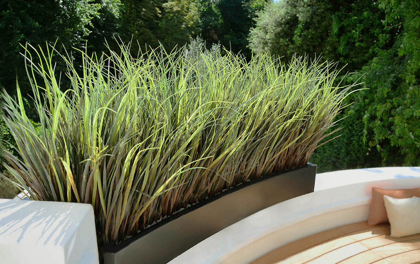 547 fake landscapes marram grass in clients curved planter