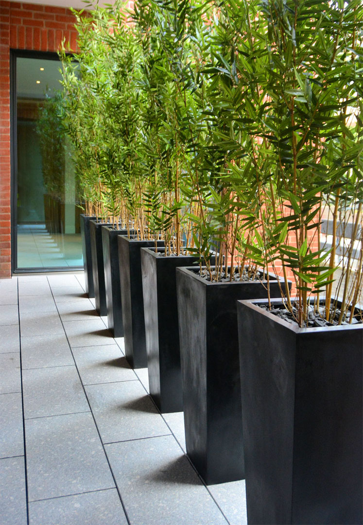 572 Fake Landscapes 190cm oriental bamboo and matt planters