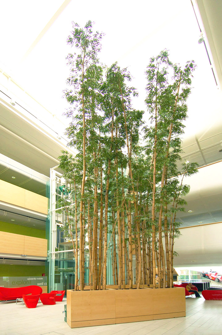 573 fake landscapes bamboos 10m vodafone hq