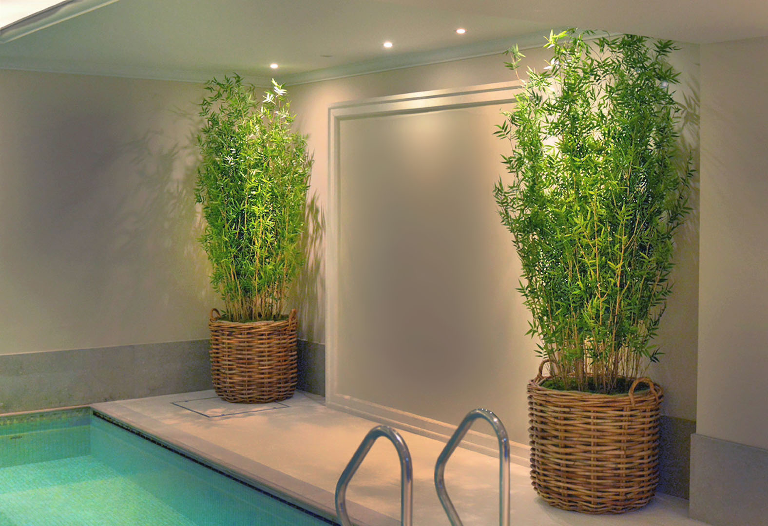 576 fake landscapes 220cm fine leaf pool bamboo in basket