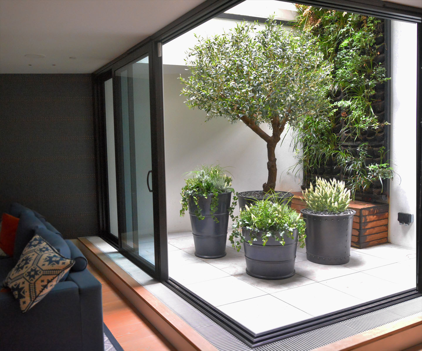 411 fake landscapes 290cm olive plus base planting in lightwell NW3