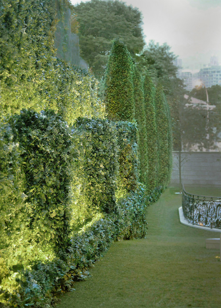 414 Living wall cypresses