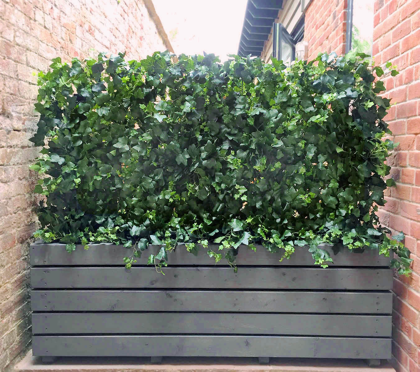 433 fake landscapes dense wild ivy UV hedge 150cm x 90cm in clients planter