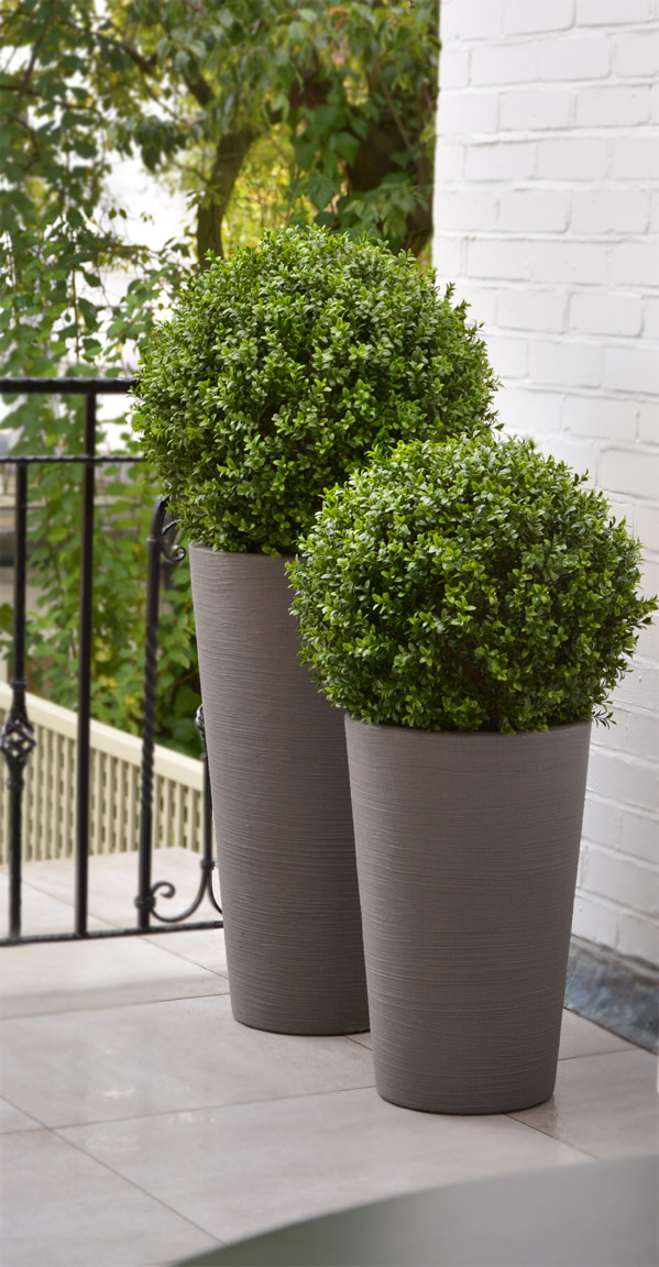 637 fake landscapes 35 and 45cm natural look buxus in clients planters