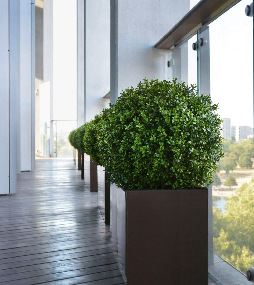 640 fake landscapes 450mm boxwood ball set in custom planters one hyde park