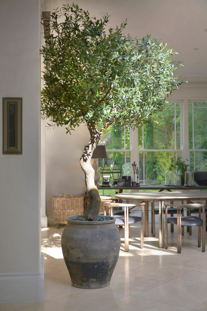 664 fake landscapes 2900mm giant olive in clients planter