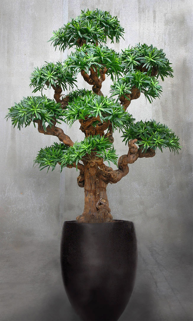 785 fake landscapes 150cm giant mutant podo bonsai