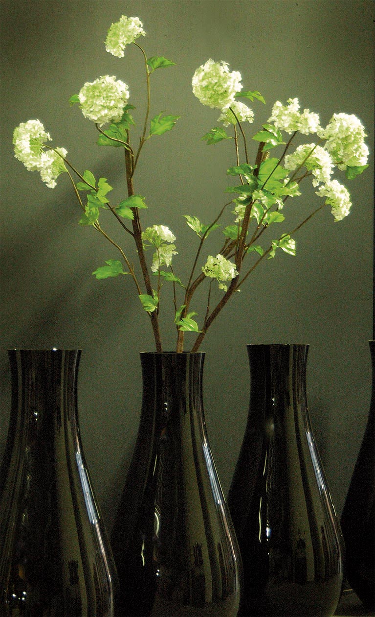 806 simple viburnum