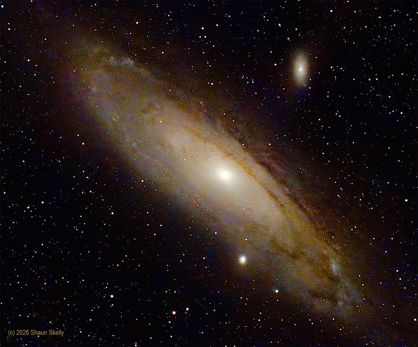 Andromeda